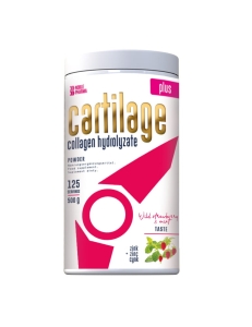 cartilage_poziomka.jpg